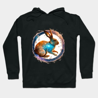 Year of the rabbit chinese zodiac sign with circle Hoodie